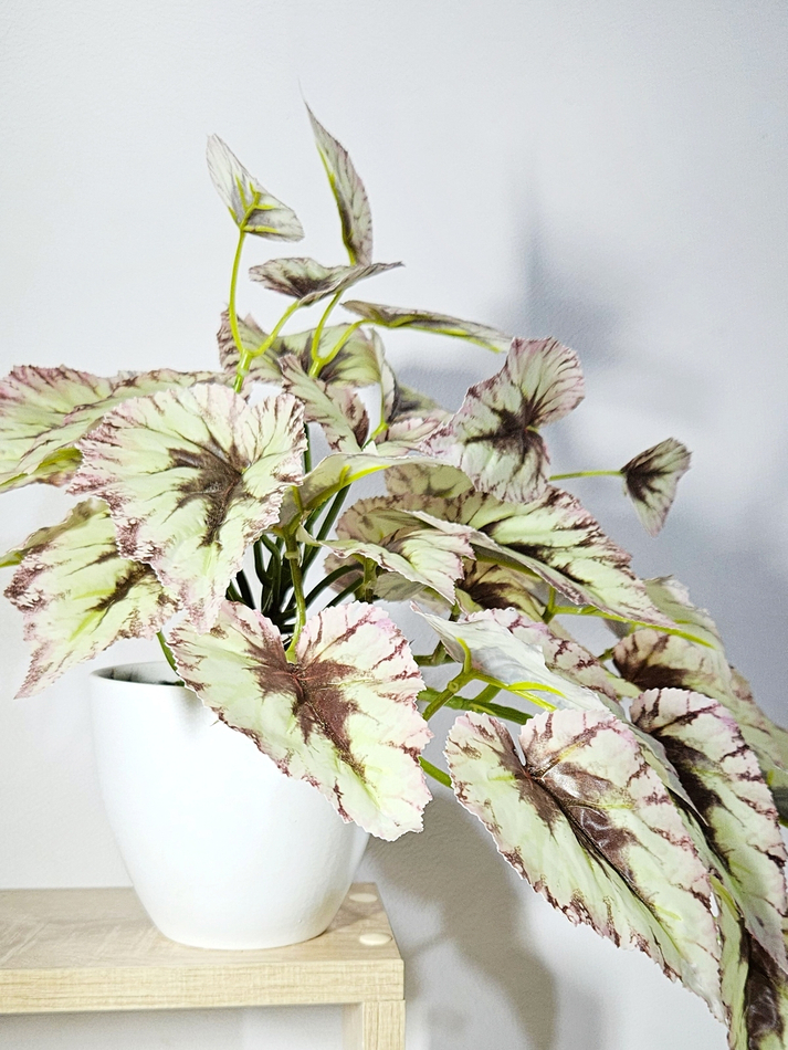 Искусственная Бегония светлая изящная 40 см в кашпо