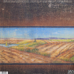 Neil Young International Harvesters / A Treasure (2LP)