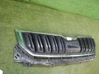 Решетка радиатора Skoda Kodiaq (2016-2022)