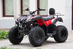 Квадроцикл UNIVERSAL Bull 200