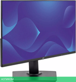 Монитор HIPER EasyView FH2416H