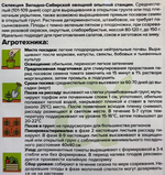 Томат Демидов 0,05 г СМТ-447