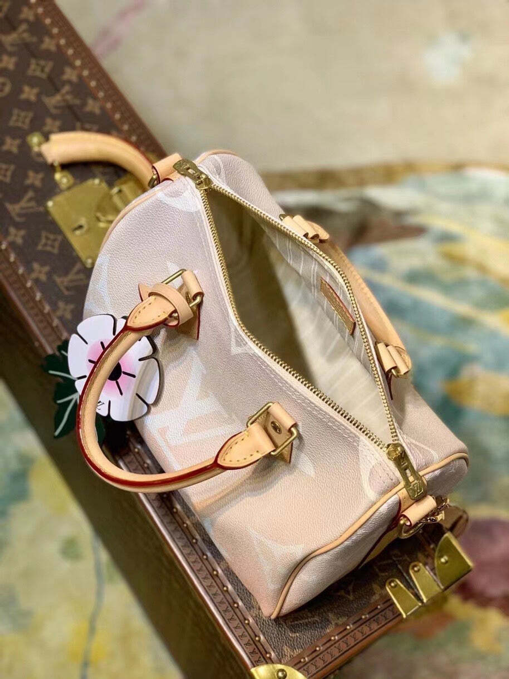 Louis Vuitton Speedy 25