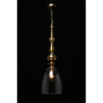 Подвесной светильник Aployt Rena APL.602.16.01
