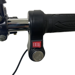 Электроскутер Ikingi X1 PRO (Карбон)