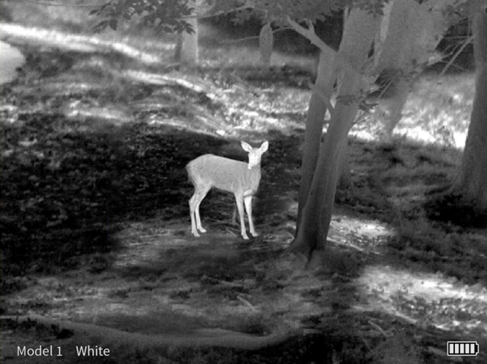 Прицел тепловизионный Guide TS435 - фото 9