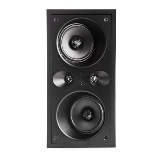 Definitive Technology DW MAX SUR