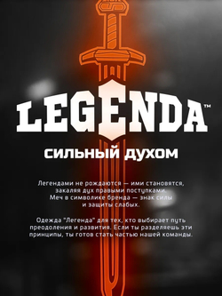 Шорты ММА Legenda Горы и Меч серый
