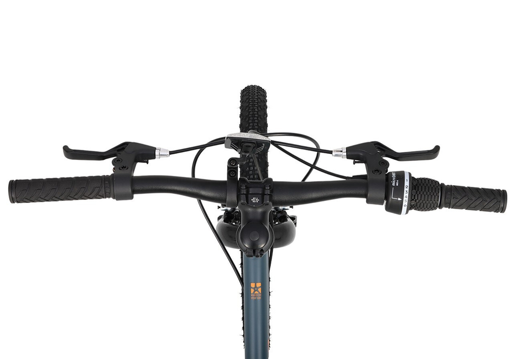 Maxiscoo 3BIKE 20'' M (2025)