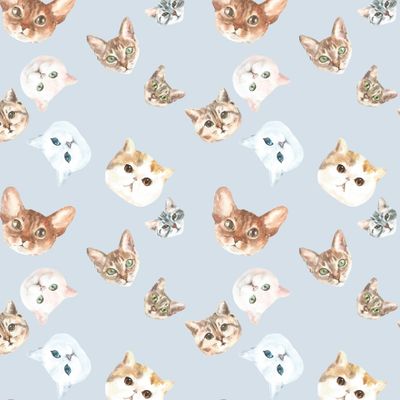 Коты акварельные, голубой фон