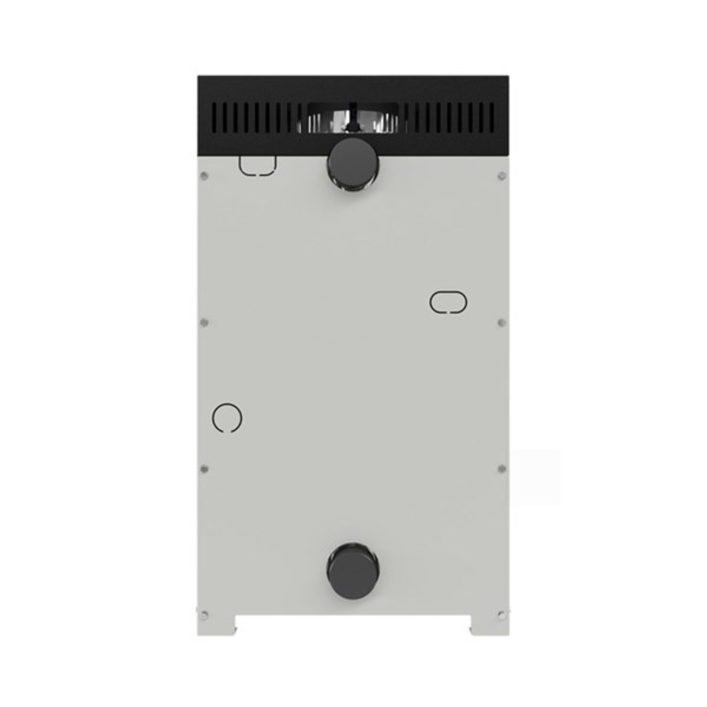 Котел отопительный газовый ЛЕМАКС Norm-10