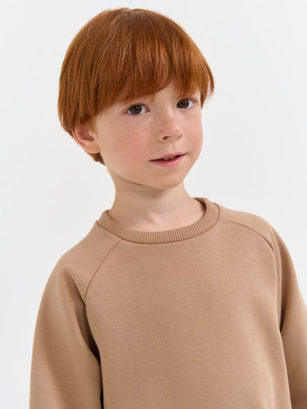 Свитшот "Песок" с вышивкой утепленный без начеса