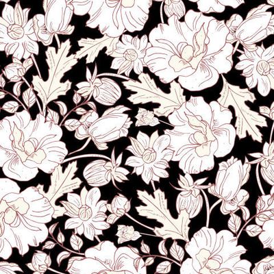 цветы на чёрном