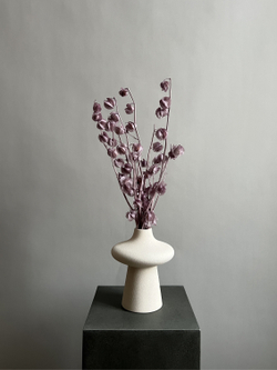 Физалис стабилизированный сиреневый