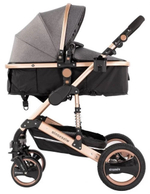 Коляска-трансформер 2 в 1 Wisesonle-Q3 цвета