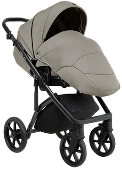 Детская коляска Roan Bass Next 2.0 3 в 1 с автокреслом Tutis Elo Lux EduSky Grey BSN/41/2 Hazel/Black/руч.Black