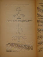 "Старинные сборники русских пословиц, поговорок, загадок и проч. XVII-XIX столетий. Выпуск I ( и единственный )". Собрал и приготовил к печати Павел Симони. 1899г.
