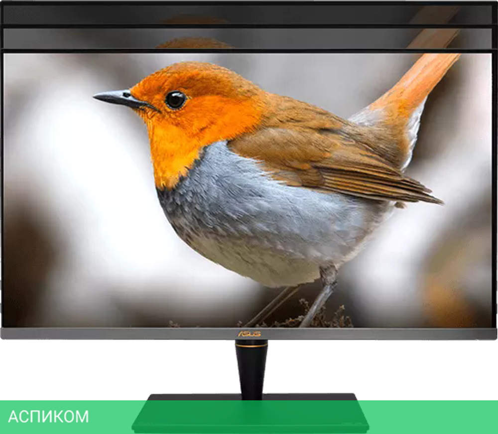 Монитор ASUS ProArt PA32UCX-PK