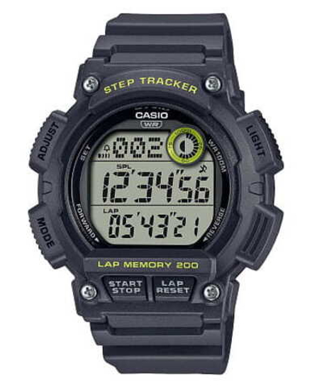 Часы Casio Collection WS-2100H-8A