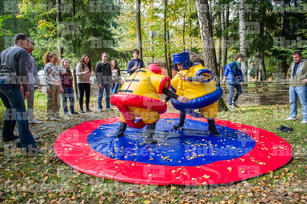 Аттракционы Борьба сумо, Татами, на 2 чел.