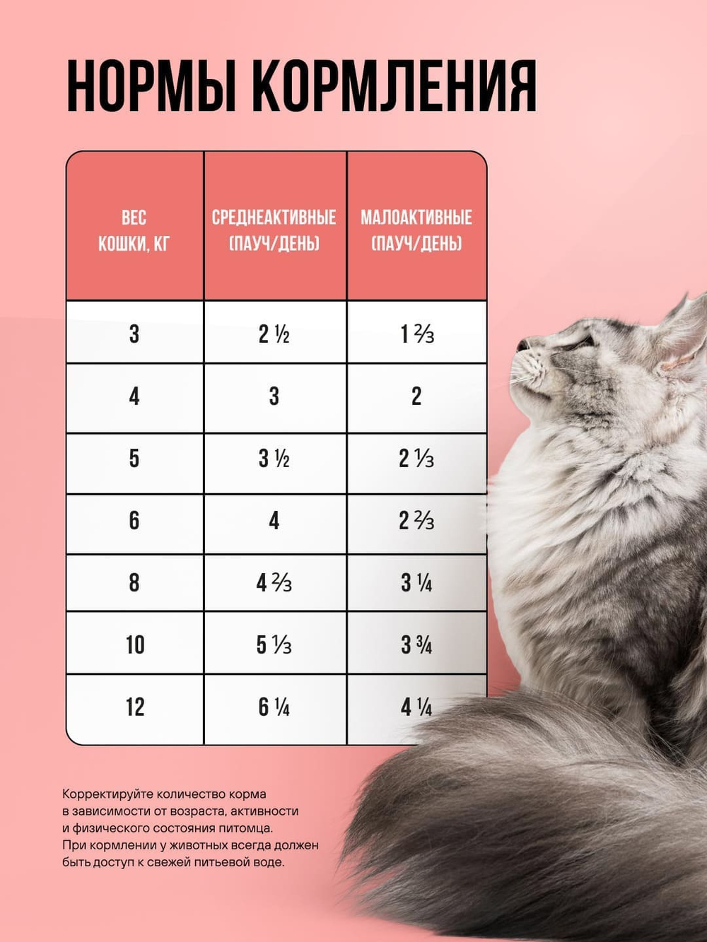 Влажный корм для стерилизованных кошек беззерновой с лососем и овощами в соусе BOWL WOW 0,085 г, 12 упаковок