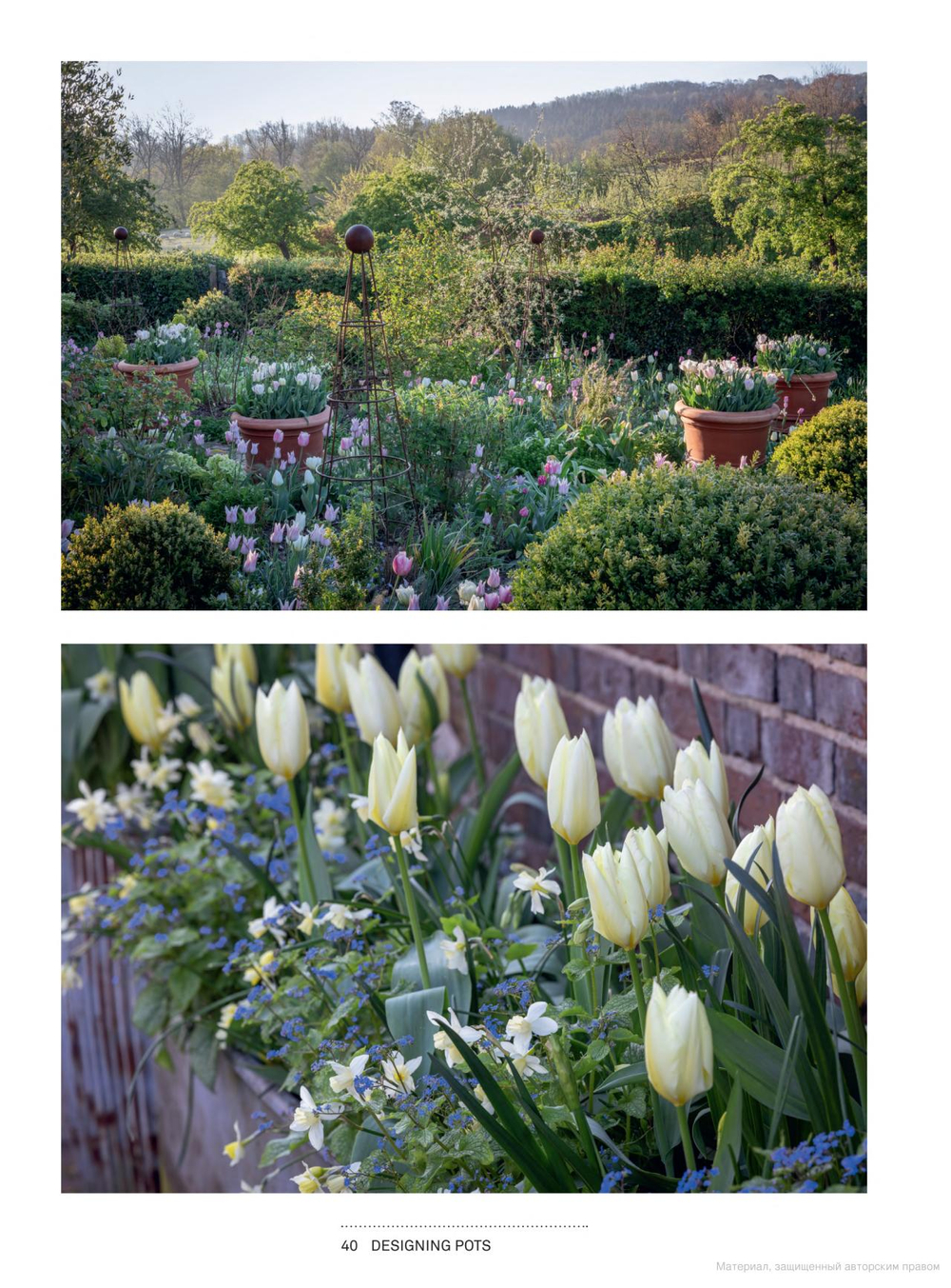 A Year Full of Pots: Container Flowers for All Seasons