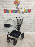 Коляска модульная Rant Teo Sage