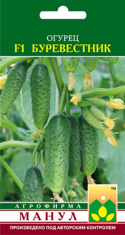 Огурец Буревестник F1 12 шт Манул