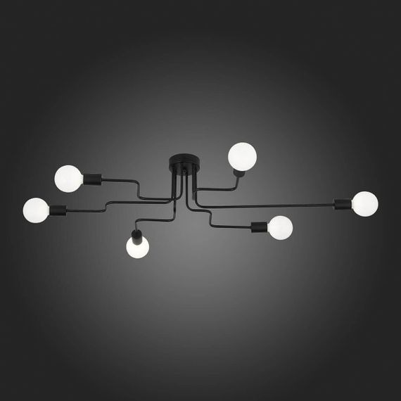Потолочная люстра Evoluce Ano SL419.442.06