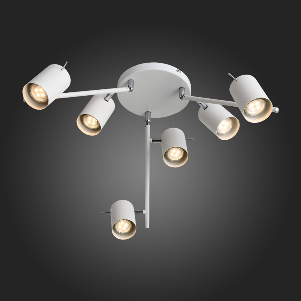 Накладной светильник ST-Luce SL597.502.06