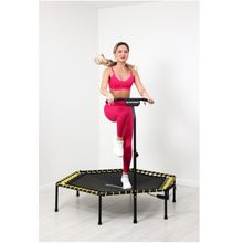 Батут для джампинга с рукояткой и счетчиком Romana 12.10.00 (розовый)