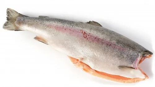 Форель б/г с/м 1,8-2,7 Мурманская