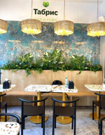Озеленение искусственными растениями магазина "Табрис"  г.Краснодар