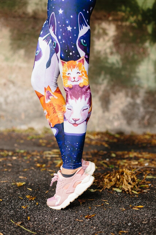 Леггинсы ТЕРМО Кошки и Сливки