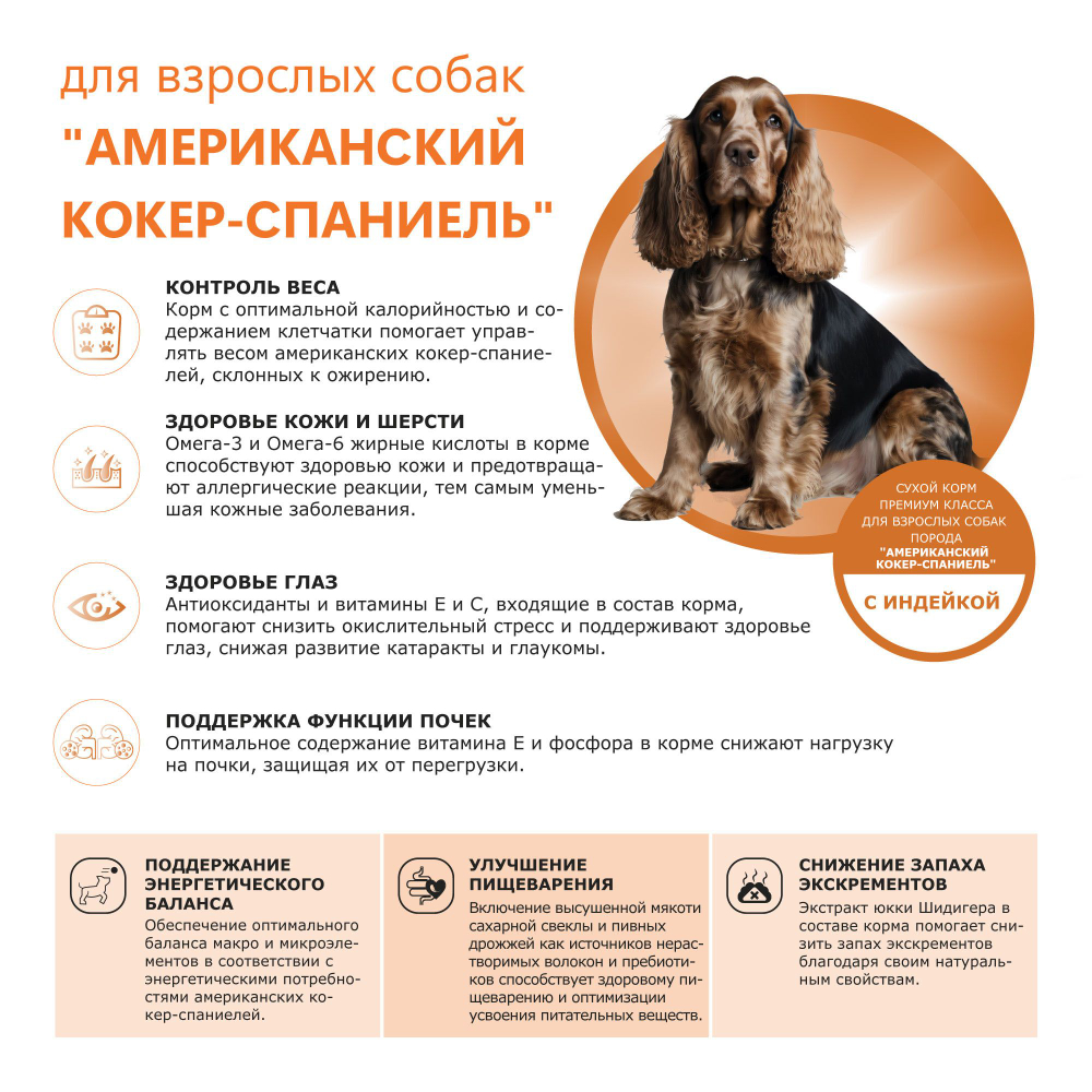 Корм сухой для взрослых собак породы Американский кокер-спаниель, премиум полнорационный комплекс, с индейкой, 12 кг, QUATTRO