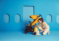 Детская прогулочная коляска Anex AIR-X Ax-04/L yellow