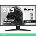 Игровой монитор Iiyama G-Master Black Hawk G2250HS-B1