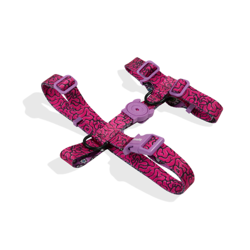 Шлейка LORDS OF ZEE.TOWN BRAIN Zee.Dog