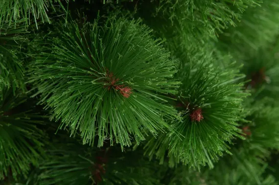 Искусственная сосна Купавна настенная 60 см., Леска, ЕлкиТорг (126060)