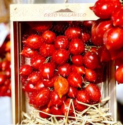 Помидоры - Pomodorino del Piennolo del Vesuvio - Черри Пьенноло Дель Везувио