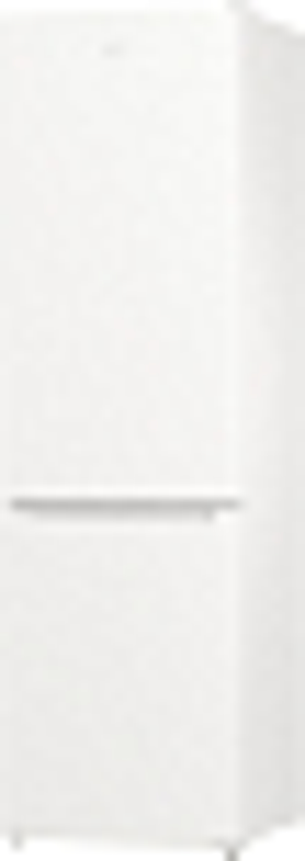 Отдельностоящий двухкамерный холодильник Gorenje RK6201EW4