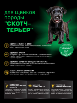 Quattro корм для щенков породы Скотч-терьер, с ягненком, 6 кг, QUATTRO