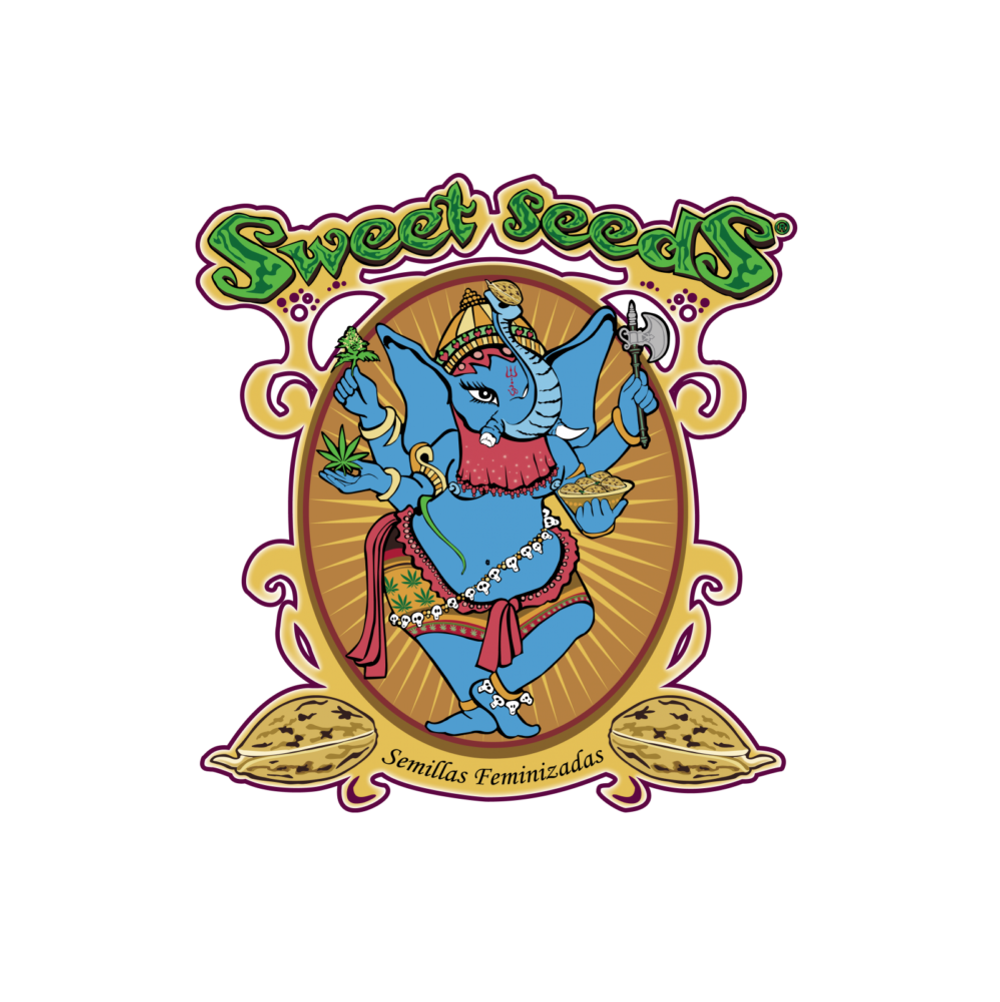 Cream Mandarine auto