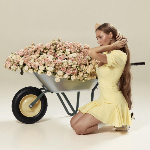 Тележка с розами, Кустовые розы