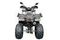 Квадроцикл MOTAX ATV Grizlik T200 Lux