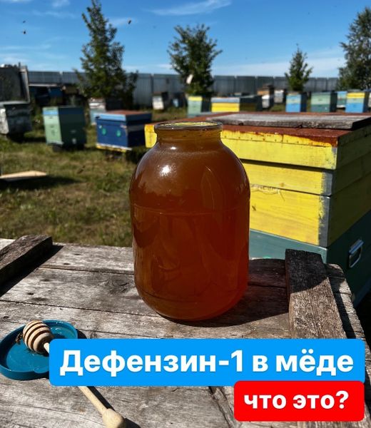 ПЕПТИДЫ В МЁДЕ