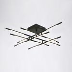 Потолочный светильник MX18001070-12A black