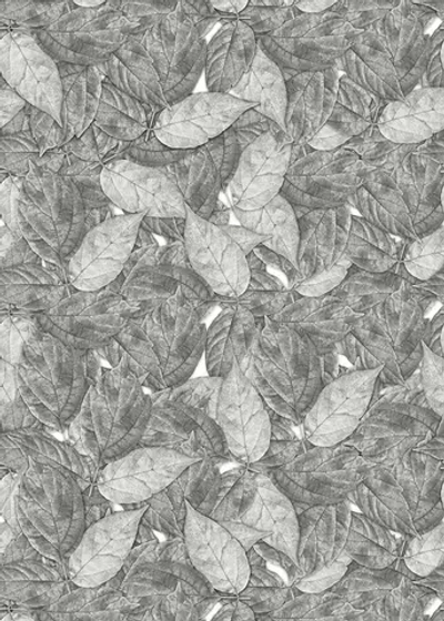 Цифровое панно ID Wall AUTUMN FOLIAGE MONOCHROME