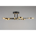 Потолочная люстра Aployt INES APL.043.07.65