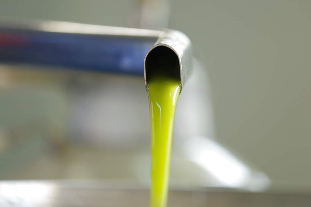 Оливковое масло BONO Qitterra 500мл Сицилия